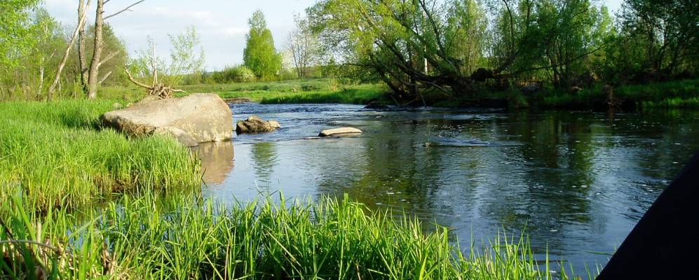 
            Фотография Млыны