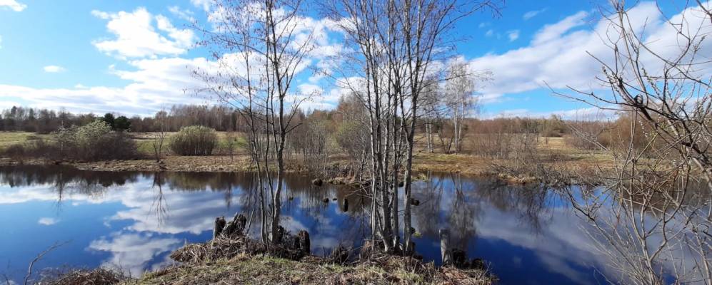 Фотография Пития Оврага