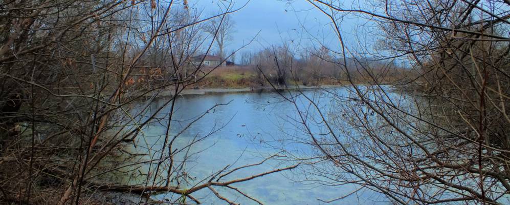 
            Фотография Чибисовки