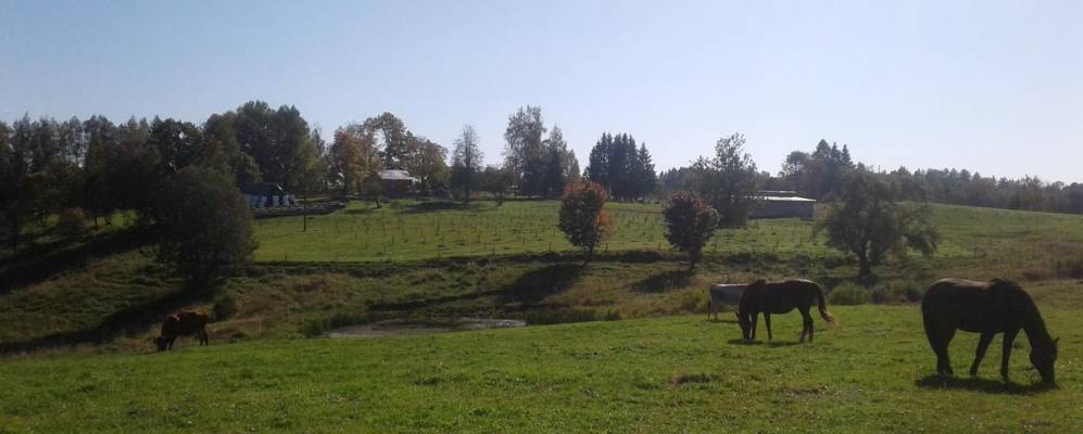 Фотография Кеци