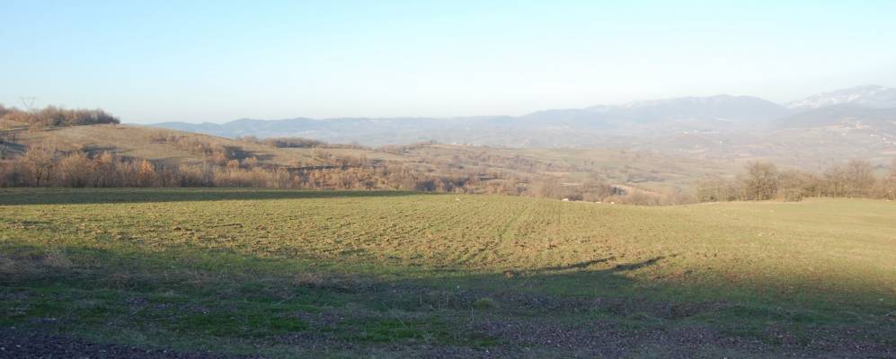 
            Фотография Боччеи