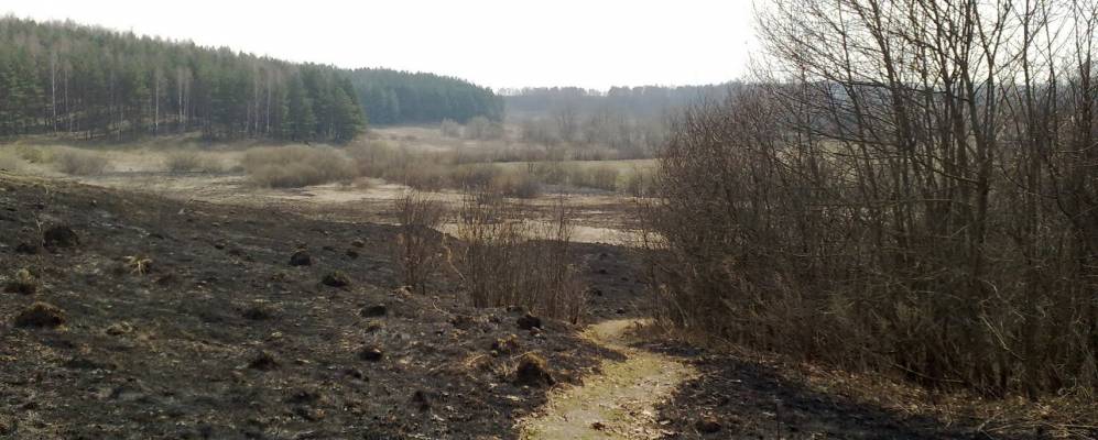 Фотография деревни Барыки