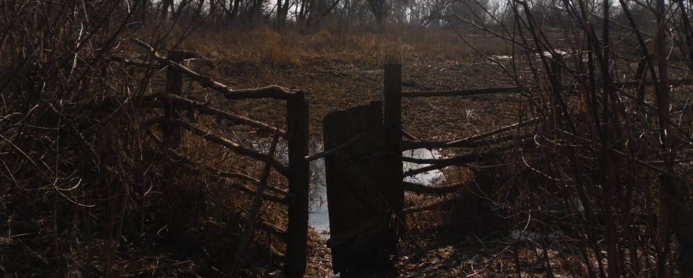 Фотография Нижних Грачиков