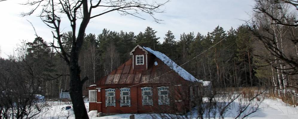 
            Фотография Ямуги