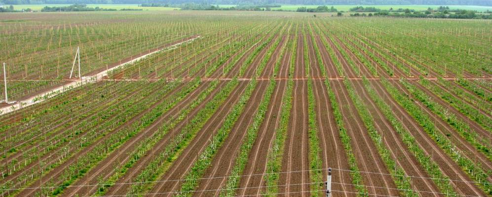 Фотография Большого Межника