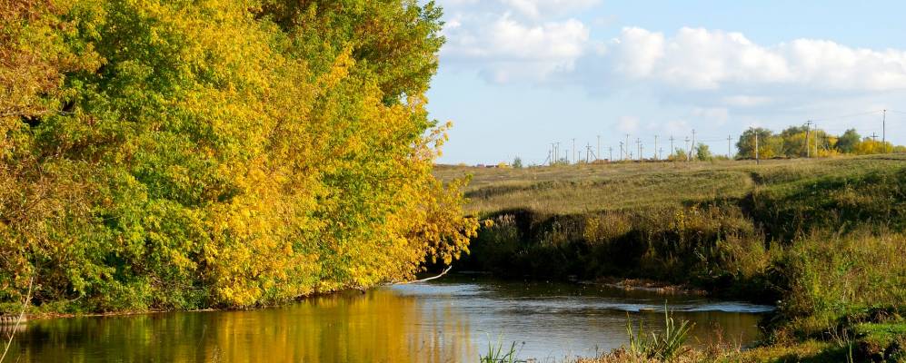 
            Фотография Приютово