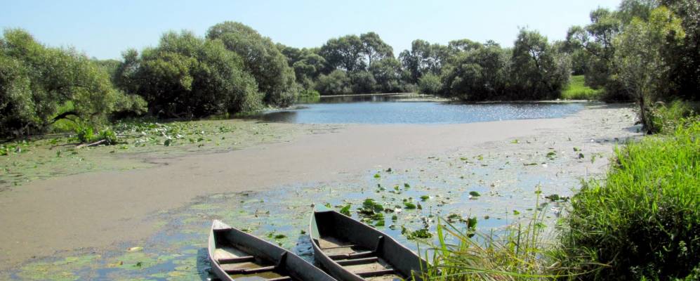 
            Фотография Мульчиц