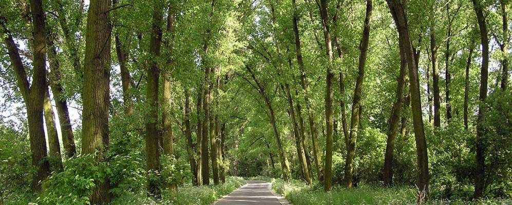 
            Фотография Челаковице