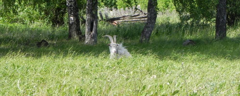 
            Фотография Апайкиной Гари