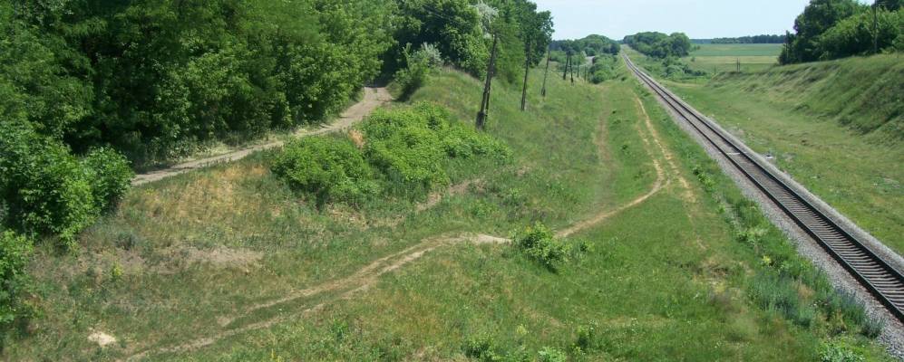 
            Фотография Дмитровки