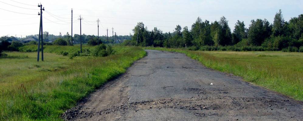 
            Фотография Трусовки