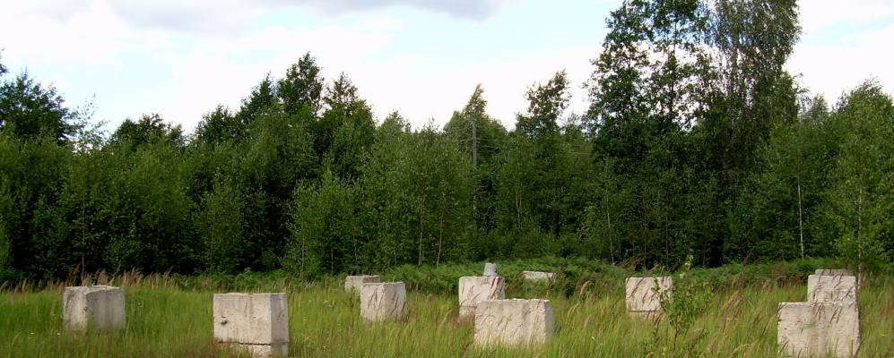 
            Фотография Орлово