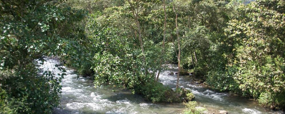 
            Фотография Миндо