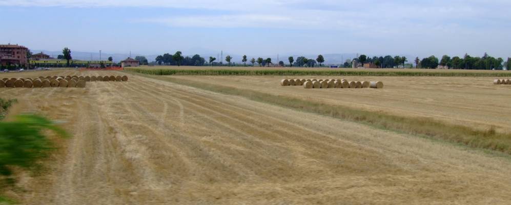 
            Фотография Пьячентини