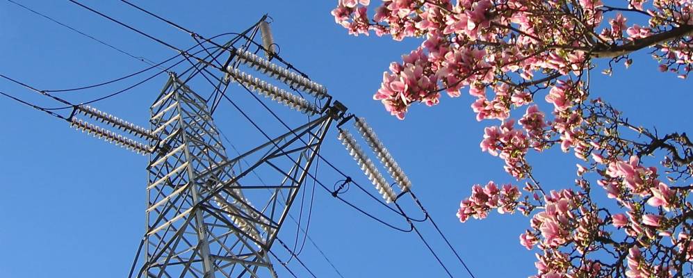 
            Фотография Бругерио