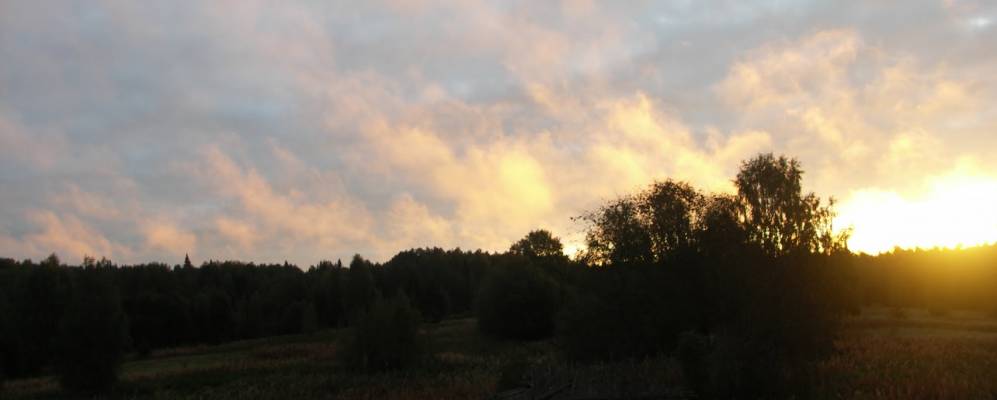 
            Фотография Крутого Починка