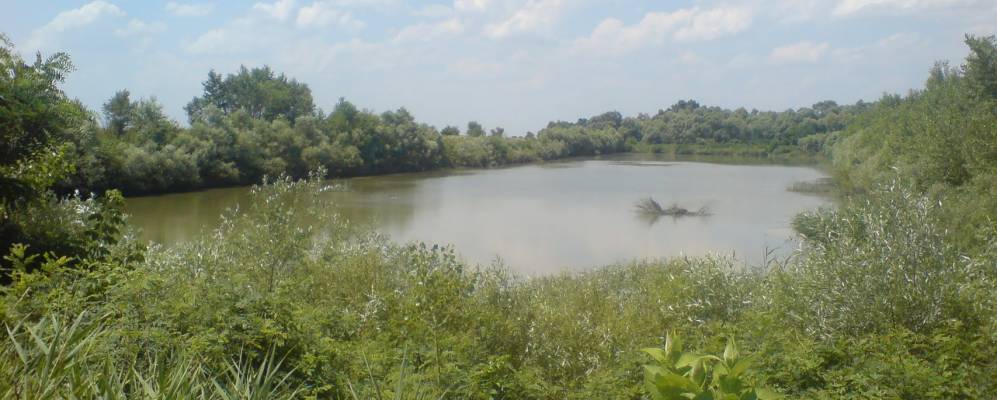 
            Фотография Лучезарного