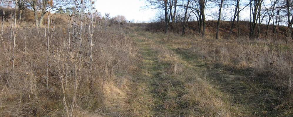 
            Фотография Сажки