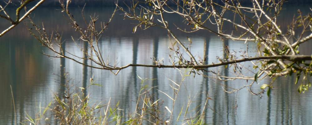 
            Фотография Сатонэ-Кама