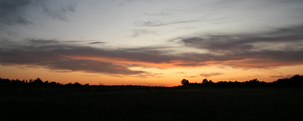 
            Фотография Тиньки