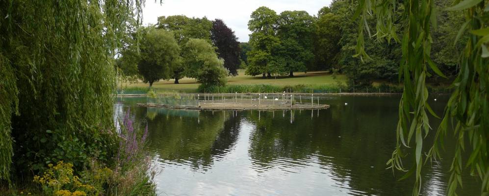 
            Фотография Рейгейта