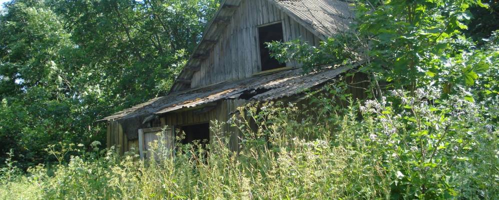 
            Фотография Вовкулаково