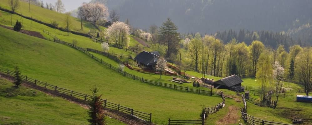 
            Фотография Стебни