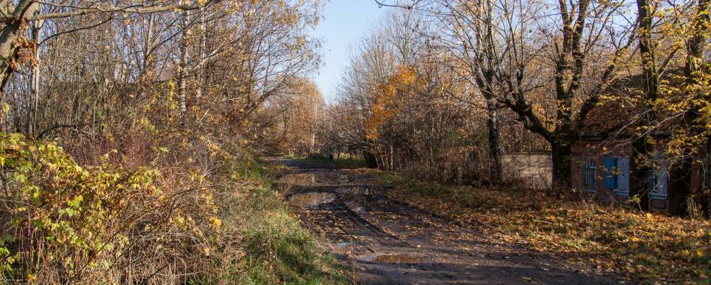 
            Фотография Речной Волны