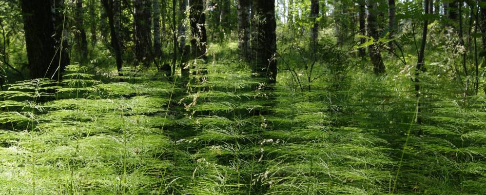 Фотография Успенья