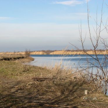 Каргальская