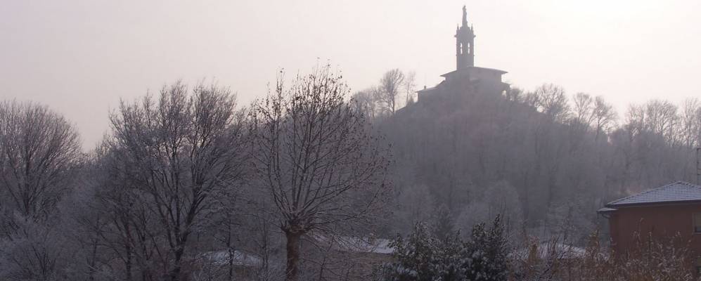 Фотография Паладины