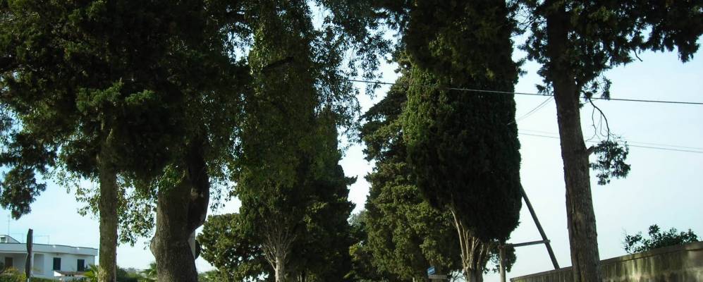 
            Фотография Уджано-ла-Кьезы