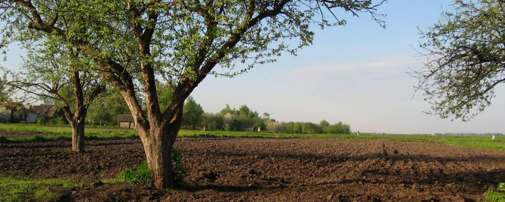 
            Фотография Мая