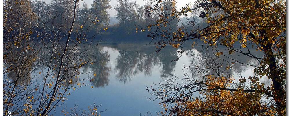 
            Фотография Ле Понте