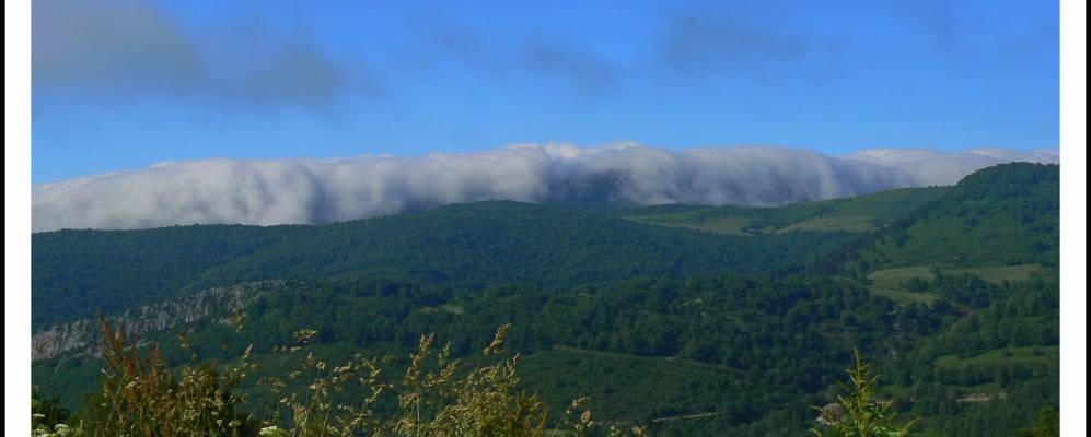 Фотография Хауррьета