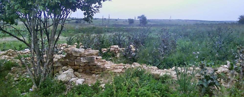 
            Фотография Новостепановки