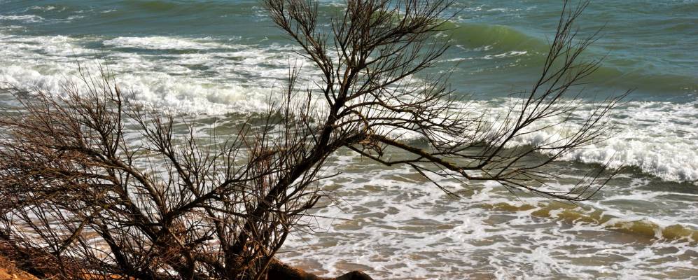 
            Фотография Жар-сюр-Мера