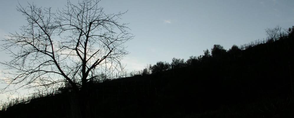 
            Фотография Не