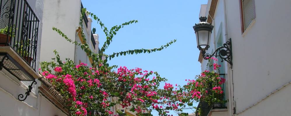 
            Фотография Кантильяны