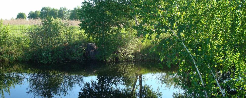 
            Фотография Воробьевского