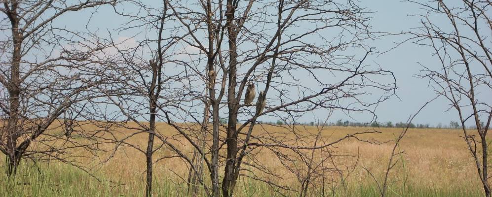 
            Фотография Яркого