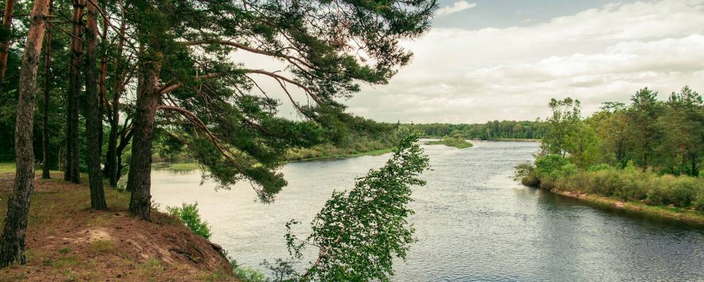 
            Фотография деревни Стужки