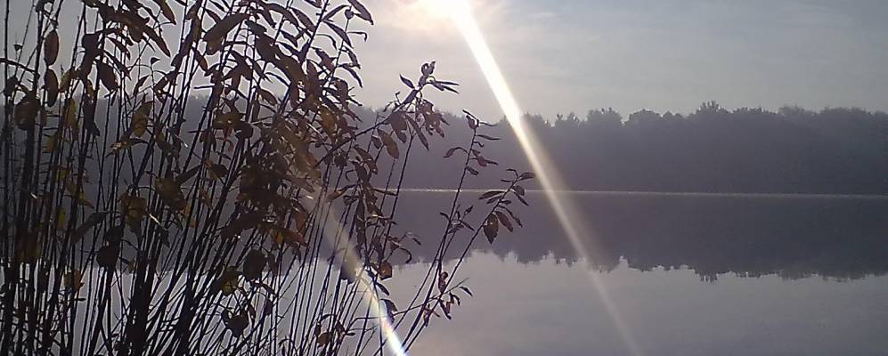 
            Фотография Вороблевичей