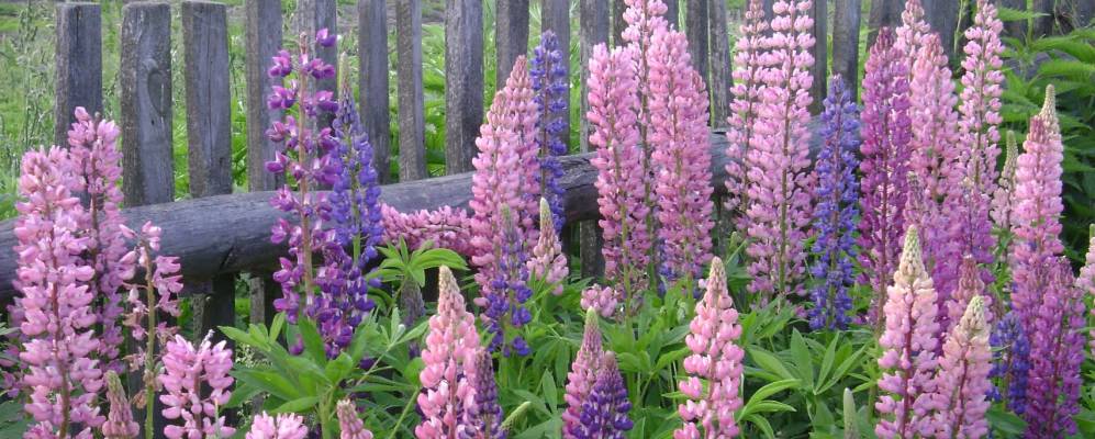 
            Фотография Пахотного Угла