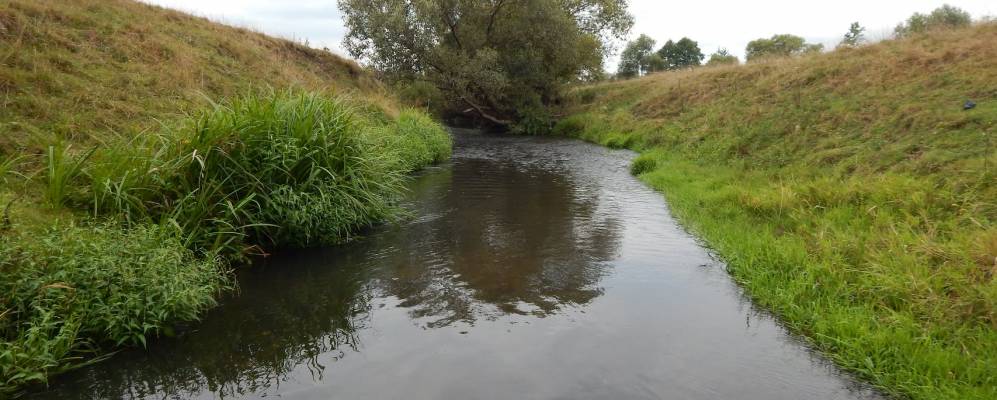 
            Фотография Алексичи