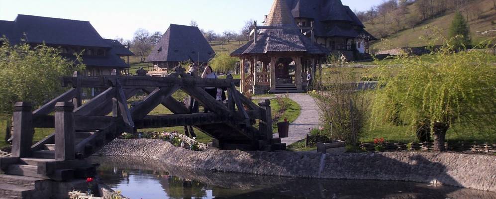 
            Фотография Ботиза