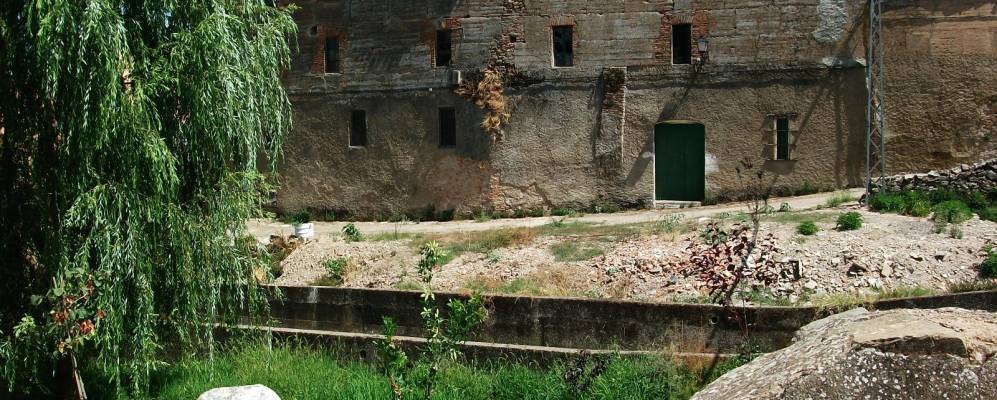 Фотография Усагре