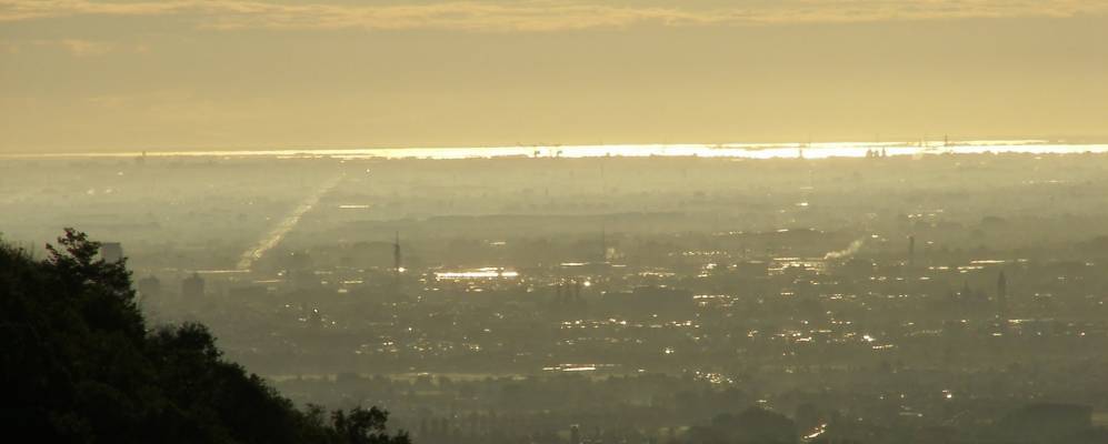 
            Фотография Теоло