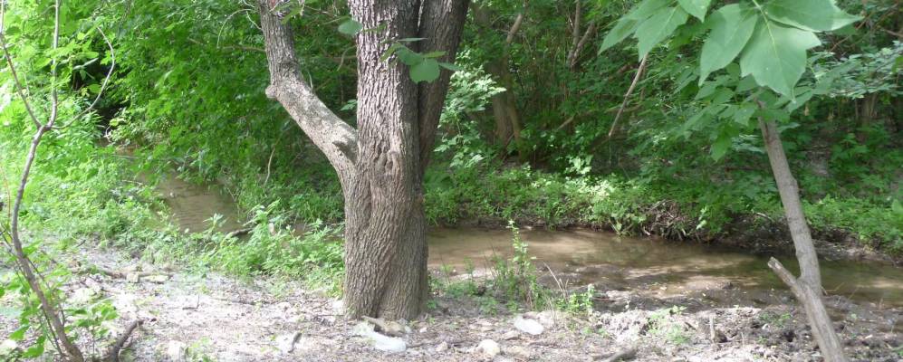 
            Фотография Терновки