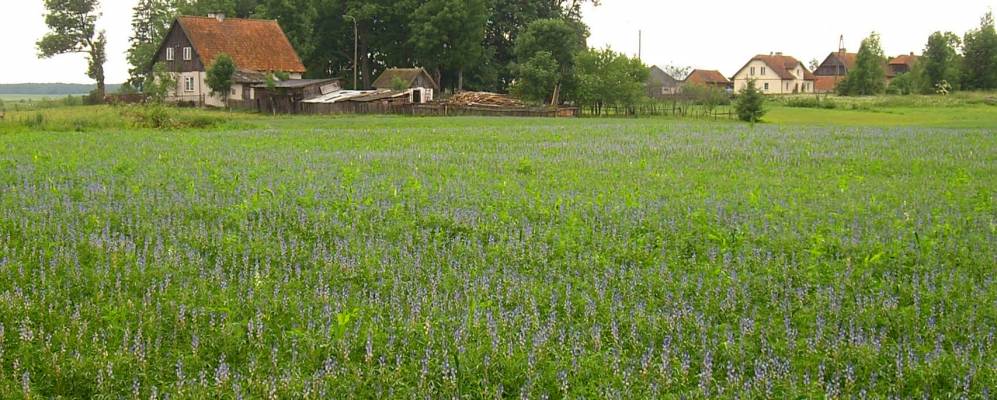 
            Фотография Россошанки